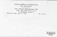 Image Associated With the Occurence